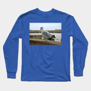 Seagull Walks Along Beach Long Sleeve T-Shirt